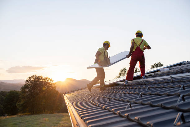Best Roof Coating and Sealing  in Beaverton, MI