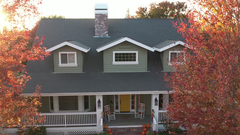 Best Slate Roofing  in Beaverton, MI