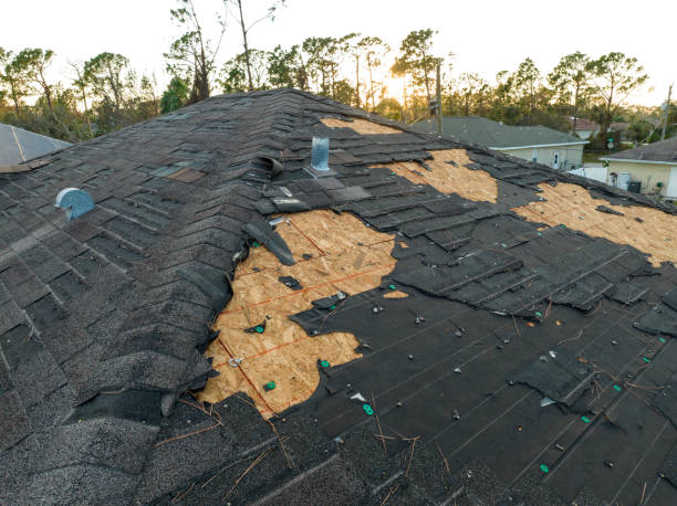 Best Roof Installation  in Beaverton, MI