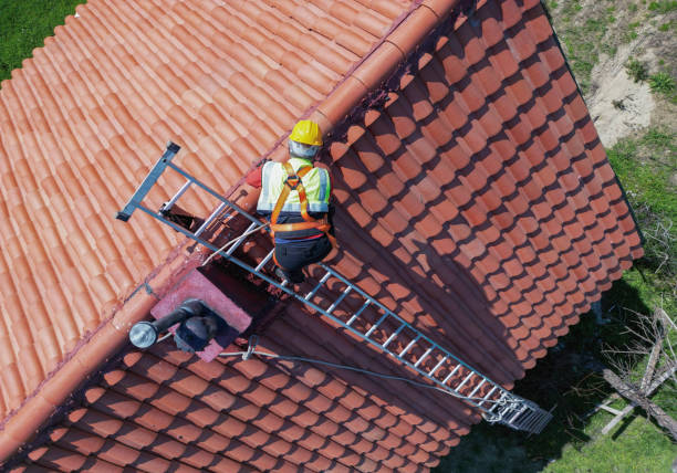 Best Flat Roofing  in Beaverton, MI
